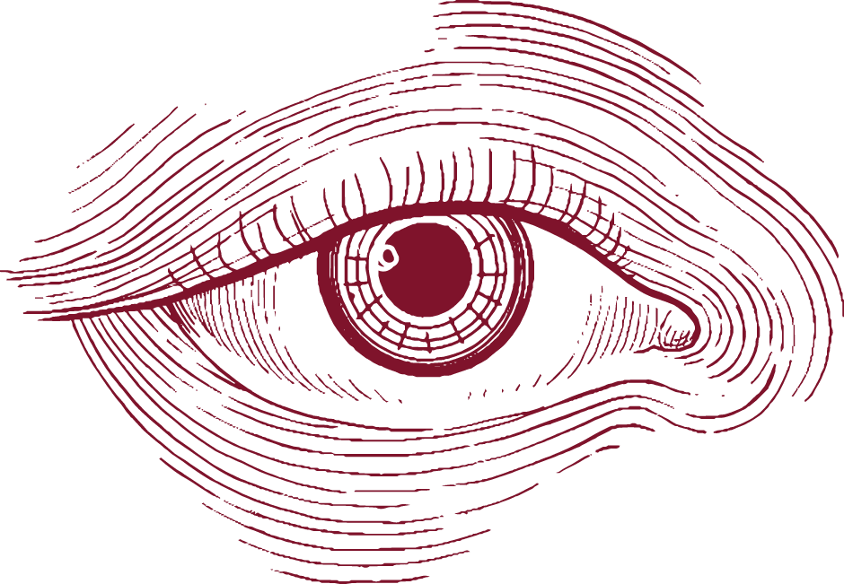 Illustrated eye artwork, from Bruna's authorial illustration and tattoo practice